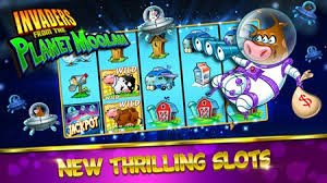 577 bet app