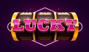 577 bet app
