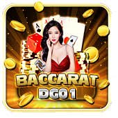 577 bet app